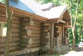 Portfolio/Acacia House