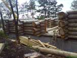 Portfolio/Acacia House