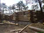Portfolio/Acacia House