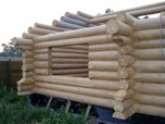Portfolio/Chalet