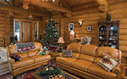 Wood houses interior