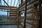 Portfolio/Outedge