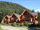 Wood houses, Log homes
