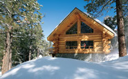 Wood houses, Log homes
